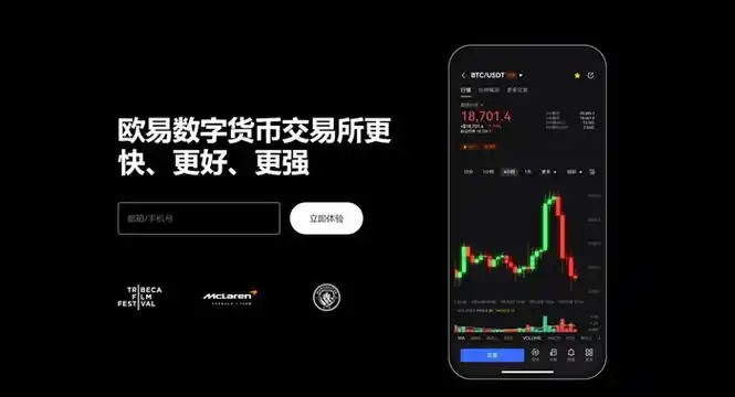 GOpayAPP下载平台展示图